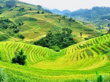 Tour Hà Giang 5 ngày 4 đêm