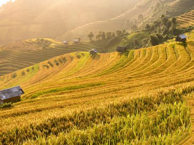 Tour du lịch Sapa 3 ngày 2 đêm